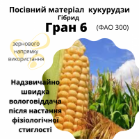 ГРАН 6 - насіння гібрида кукурудзи з ФАО 300