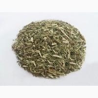 Золотарник (трава) 1кг