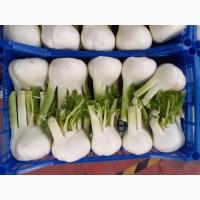 Итальянская компания надасть великий асортимент продуктов от зелени до фруктов и овощей по