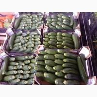 Итальянская компания надасть великий асортимент продуктов от зелени до фруктов и овощей по