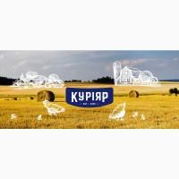 КУРІЯР - виробник курятини, Львівська область