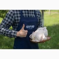 КУРІЯР - виробник курятини, Львівська область