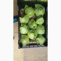 Продам перец куб красный и желтый