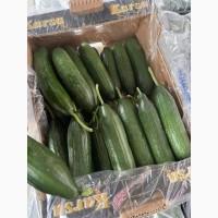 Продам перец куб красный и желтый