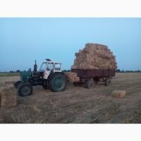 Продам сіно вперемішку з соломою в тюках