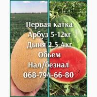 Продам мега сладкую дыню нал /безнал