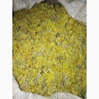 Продам оптом лікарські рослини від 1т