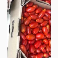 Продам помидор сорт Брисколино, сбор воскресенье