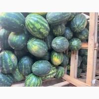 Продам Кавун, БЕЗ ХІМІЇ червоний, жовтий
