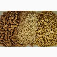 Постійно купуємо макуху соєву на експорт ціна договірна вся Україна fca, dap