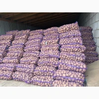 Продам товарну картоплю різних сортів