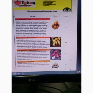 Продам насіневу картоплю нідерландської селекції