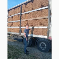 Продам очерет камиш тростину для покрівлі даху