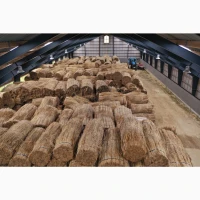 Продам очерет камиш тростину для покрівлі даху