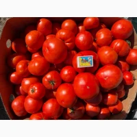 Продам томати/помідори