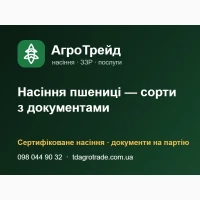 Насіння пшениці від 12 500 грн/т - еліта, РН-1, документи