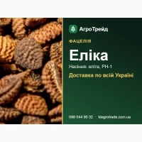 Насіння фацелії Еліка для посіву - еліта, РН-1