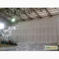 Сахар оптом из Украины. Организуем доставку