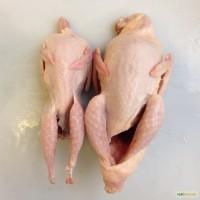 Продам тушку гуся, перепела, качки и потроха замороженные