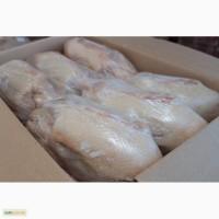 Продам качок породи Мулард жива вага та тушки