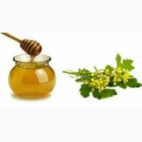 Куплю монофлор рапсовый, кориандровый, акации, липовый мёд, гречка