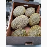 Продам ДЫНЮ !!!Испания !!!2019 год