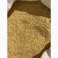 Соевый шрот 48-52% протеина. Без ГМО