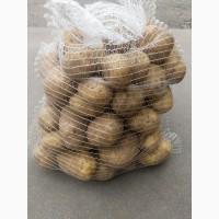 Продаем литовский картофель