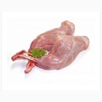 Продам мясо кролика