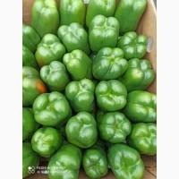 Продам перец сладкий куб