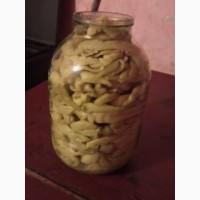 Продам армянский перец цицак