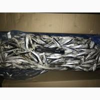 Салака мороженая 12+. Свежемороженая салака