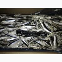 Салака мороженая 12+. Свежемороженая салака