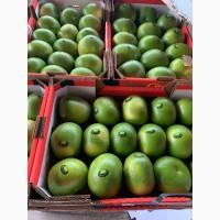 Продаем цитрусовые со склада в Одессе