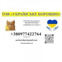 Продам цільнозернове борошно пшеничне 9600 грн/тонна. Ціна з ПДВ