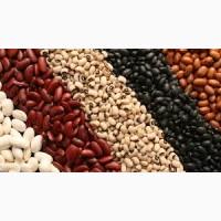 Selling beans of all types for export. Продам фасоли всех видов на экспорт