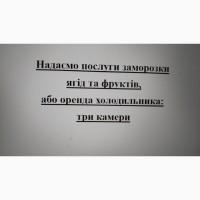 Надаємо послуги заморозки ягід та фруктів, або оренда холодильника: три камери