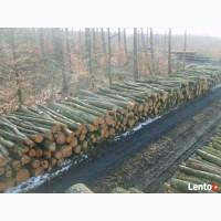 Продам дрова колені, твердих порід (дуб, бук, граб)