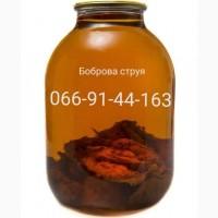 Боброва струя настойка