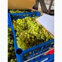 Виноград Кишмиш Туреччина зі складу у Києві