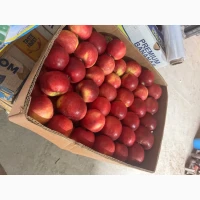 Продам яблуко Айдаред