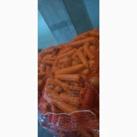 Морква 2 сорт