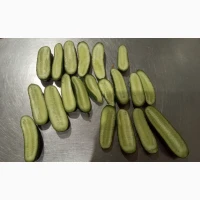 Огірок колючий