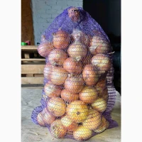 Цибуля ріпчаста (врожай 2026 року)