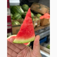 Продам солодкий кавун Талісман на ринку Столичному