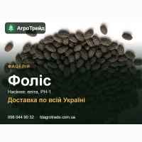 Сортове насіння фацелії Фоліс
