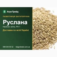 Руслана - пажитниця багаторічна, насіння еліта, РН-1 з документами