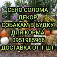 Сено / солома в тюках на ХЭЛЛОУИН. Доставка. Отличное качество