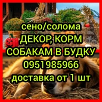 Сено солома для декорации в тюках мешках, доставка от 1 шт, сіно для корма