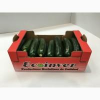 КАБАЧОК ЦУККИНИ. От Производителя ECOINVER. Испания